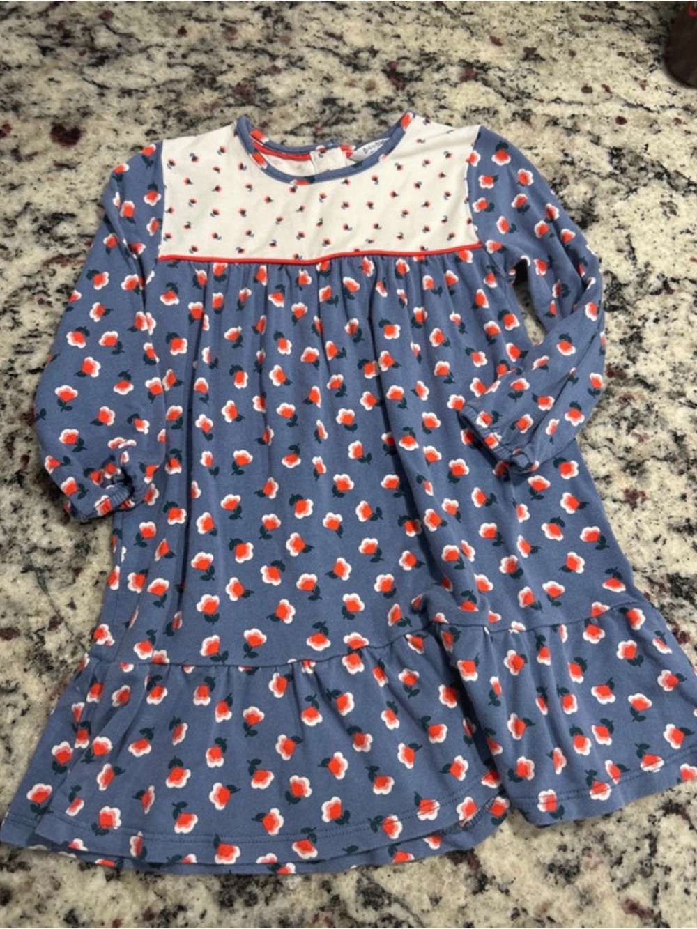 Baby Boden Blue Long-Sleeve Floral Yoke Dress with Red Accents